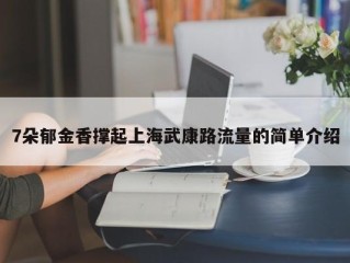 7朵郁金香撑起上海武康路流量的简单介绍